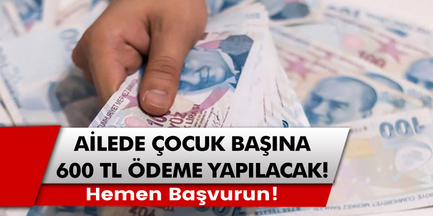 Devlet'ten müjde her çocuk başına 600 TL'ye varan ödeme verilecek! Bu destekten faydalanmak için hemen başvurun...