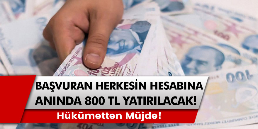 Hükümet kanadından müjde! 800 TL ödeme hesaplara anında yatacak: İki ödeme aynı anda verilecek…