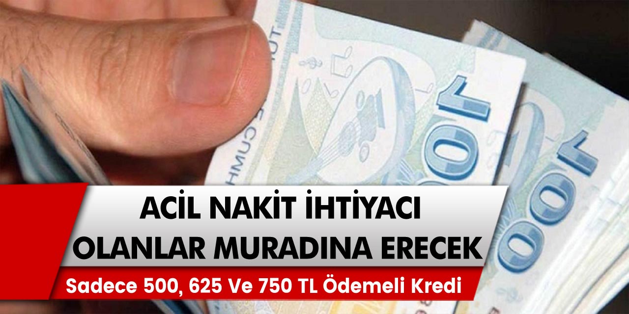 Sadece 500, 625 ve 750 TL ödemeli kredi fırsatları açıklandı: Ziraat Bankası, Vakıfbank, Türkiye Finansbank…