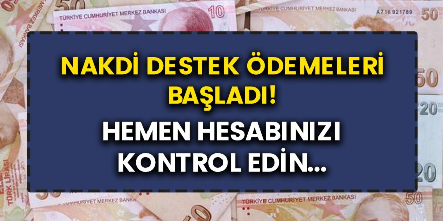 1500 TL ek olarak ödemeler verilecek! E devlet üzerinden başvuru yapanlar için ödemeler…