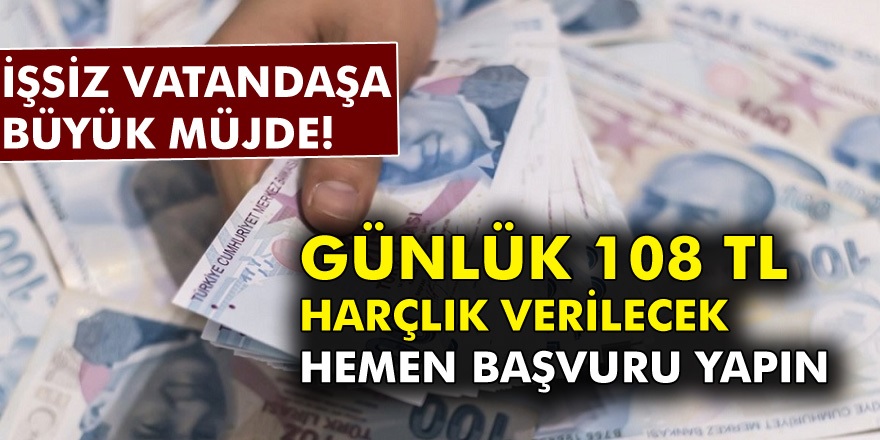 İŞKUR’dan müjde: İş arayan herkesi yakından ilgilendiren çarpıcı açıklama! Mezuniyet şartı olmadan herkese anlık başvuru…