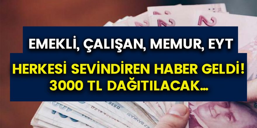 Hükümet kanadından müjde: Hesaplarını anında kontrol edenler 3 ay boyunca 3 bin TL ödeme alabilecek…