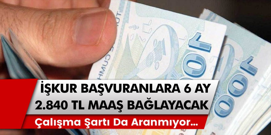 İŞKUR kanadından müjde: Başvuranlar için tam 6 ay boyunca 2840 TL maaş gelecek! Maaşı almak için illa çalışma şartı da aranmıyor…