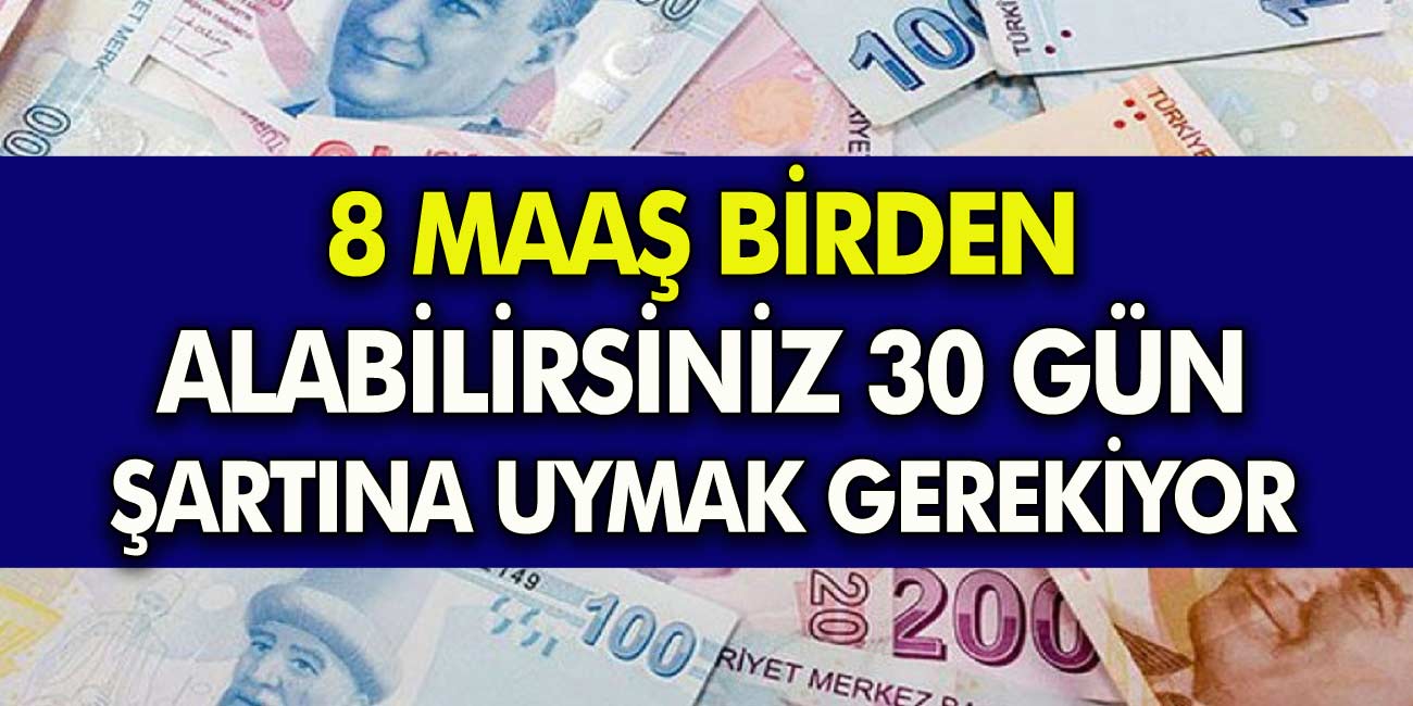 8 Maaş Birden Alabileceksiniz! 30 Gün Şartına Uymak Gerekiyor..