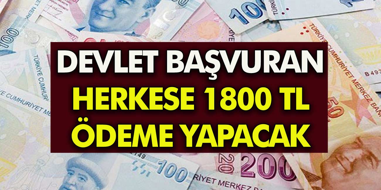 Eylül Ayında Kefilsiz Şartsız 1800 TL Ödeme Yapılacak! Devlet Başvuran Herkese Nakit Desteği Yapıyor