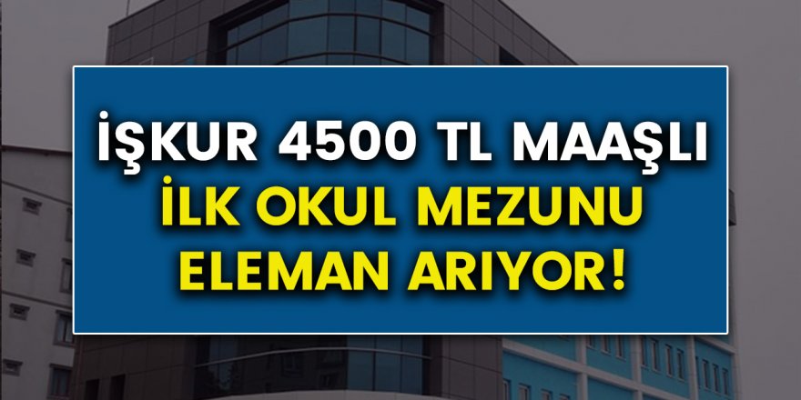 İşsizler İçin İŞKUR Harekete Geçti! En Az 4500 TL Maaş Veriliyor, KPSS Şartsız İşlere Başvurabileceksiniz