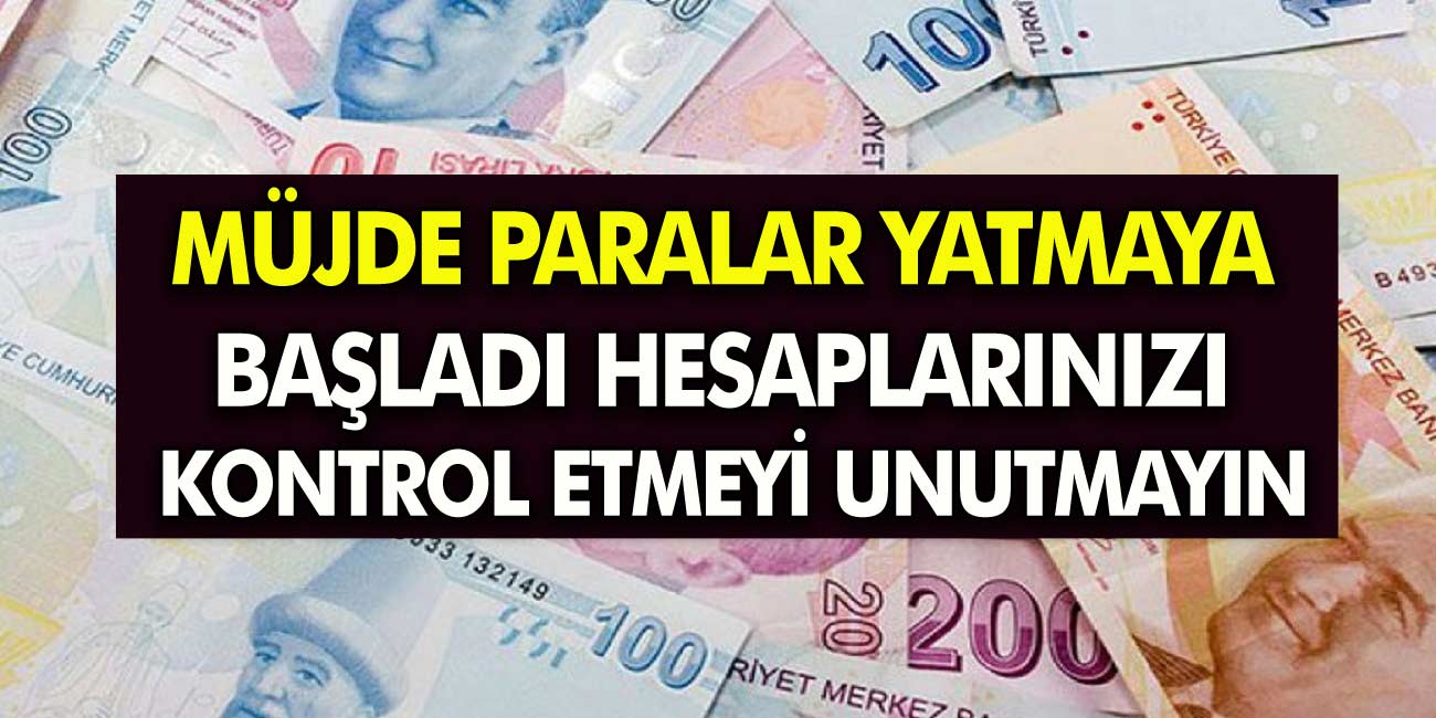 T.C. Kimlik Numaranızla Kontrol Edin! Paralar Hesaba Yatıyor