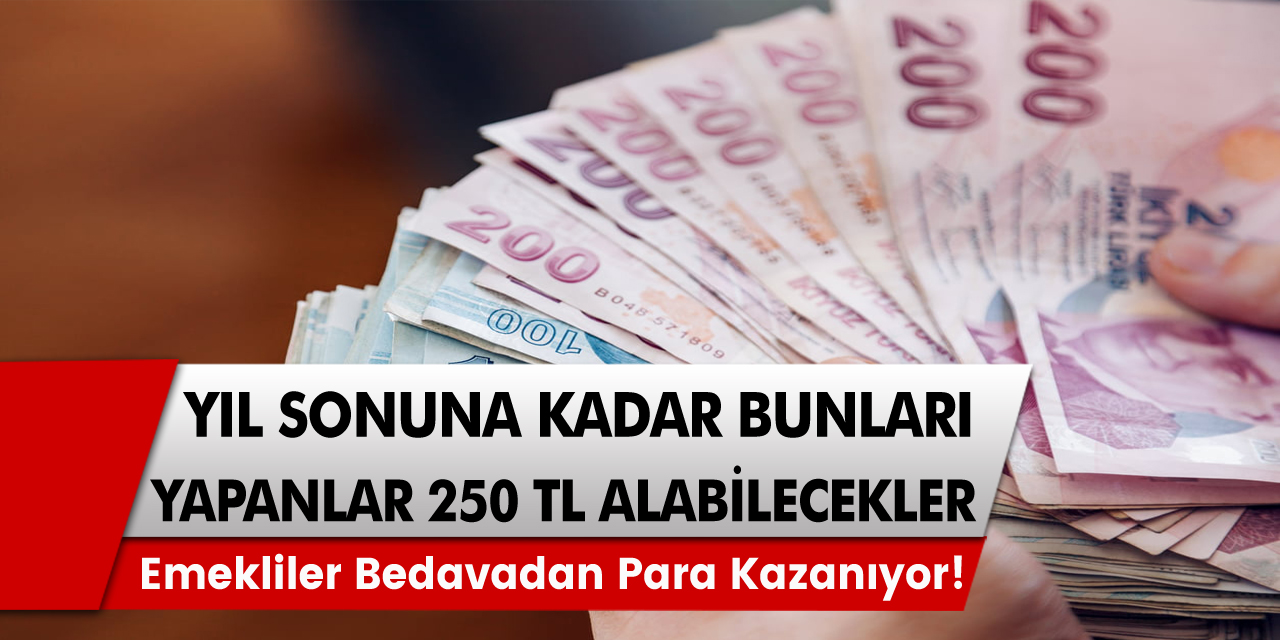 Emekliler Bedavadan Para Kazanıyor! Yıl Sonuna Kadar Bunu Yaparsanız 250 TL Alacaksınız