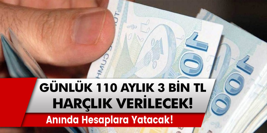 Anında Hesaplara Geçecek! Günde 110 TL Aylık 3.000 TL Harçlık Veriliyor…