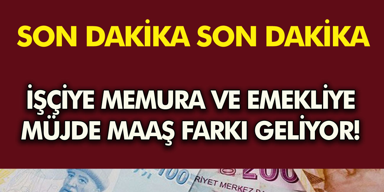 İşçi, memur, kamu personeli ve emekliye Son Dakika müjdesi maaş farkı geliyor! Yeni asgari ücret İşte detaylar...