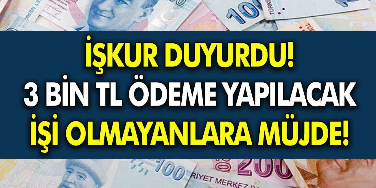 İŞKUR Duyurdu, İşsiz, İş Bulamayan Vatandaşlara 3000 TL Ödenecek!