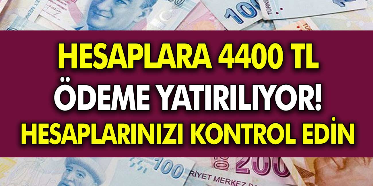 Hesaplara 4.400 TL Ödeme Yatırılacak! Başvuran Herkes Hesaplarını Kontrol Etmeyi unutmasın