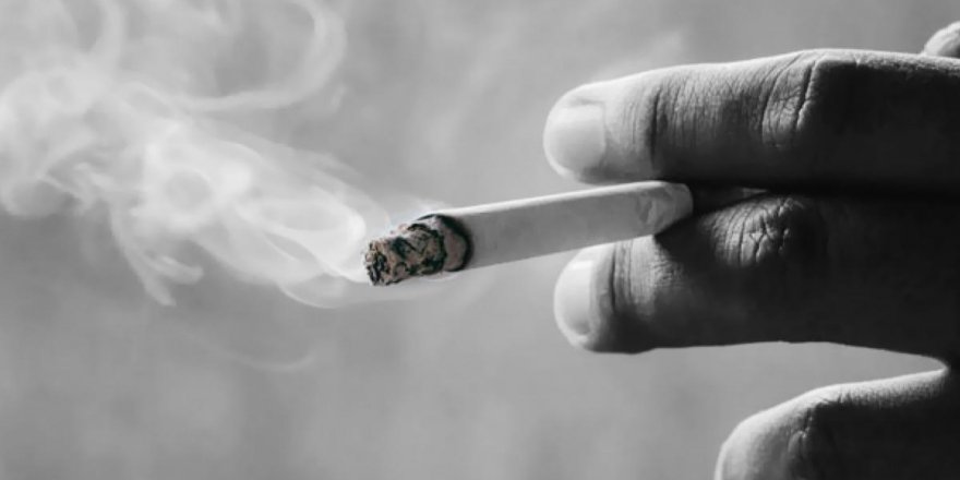 2022 Zamlı Sigara Fiyatları Listesi! Hangi Sigara Ne Kadar Oldu? Güncel Sigara Fiyatları
