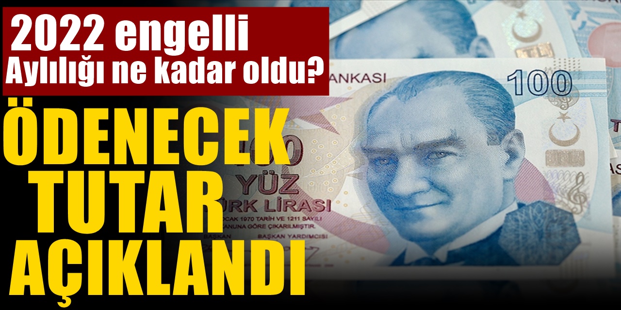 Engelli maaşları belirlendi! Tüm Engellilerin maaşı işte şu şekilde artıyor!