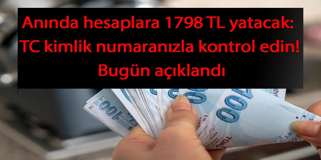 Yüz binlerce kişinin Hesaplarına 1798 TL yatacak: e-Devlet şifrenizle kontrol etmeyi unutmayın!