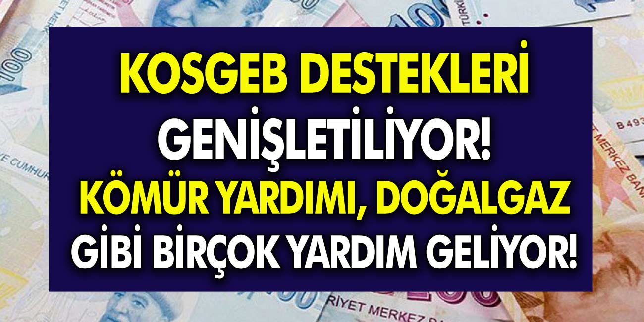 Başkan Erdoğan müjdeleri duyurdu! KOSGEB destekleri genişliyor, kömür yardımı, doğalgaz gibi birçok destek geliyor