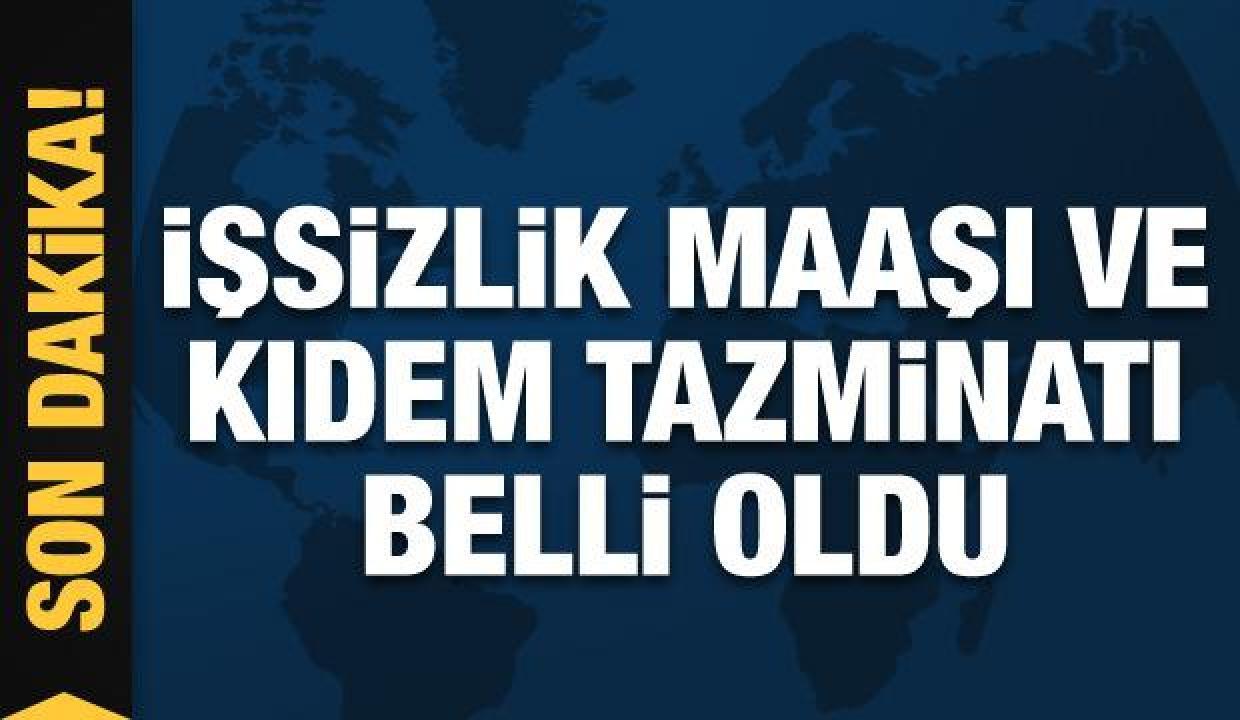 2022 Asgari ücret Fiyatları belli oldu! Son Dakika Engelli ve işsizlik aylıklarına ne kadar olacak?