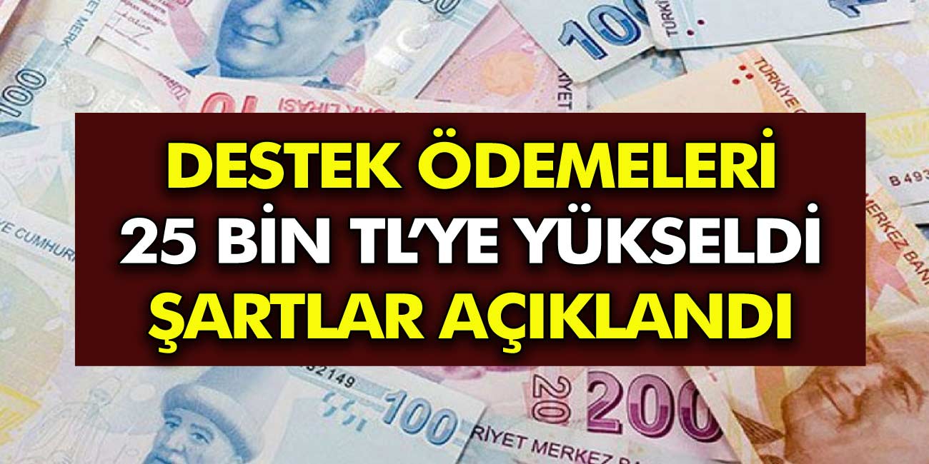 Destek ödemesi bin 25 TL'ye yükseldi! Yararlanma şartları tek tek duyuruldu!