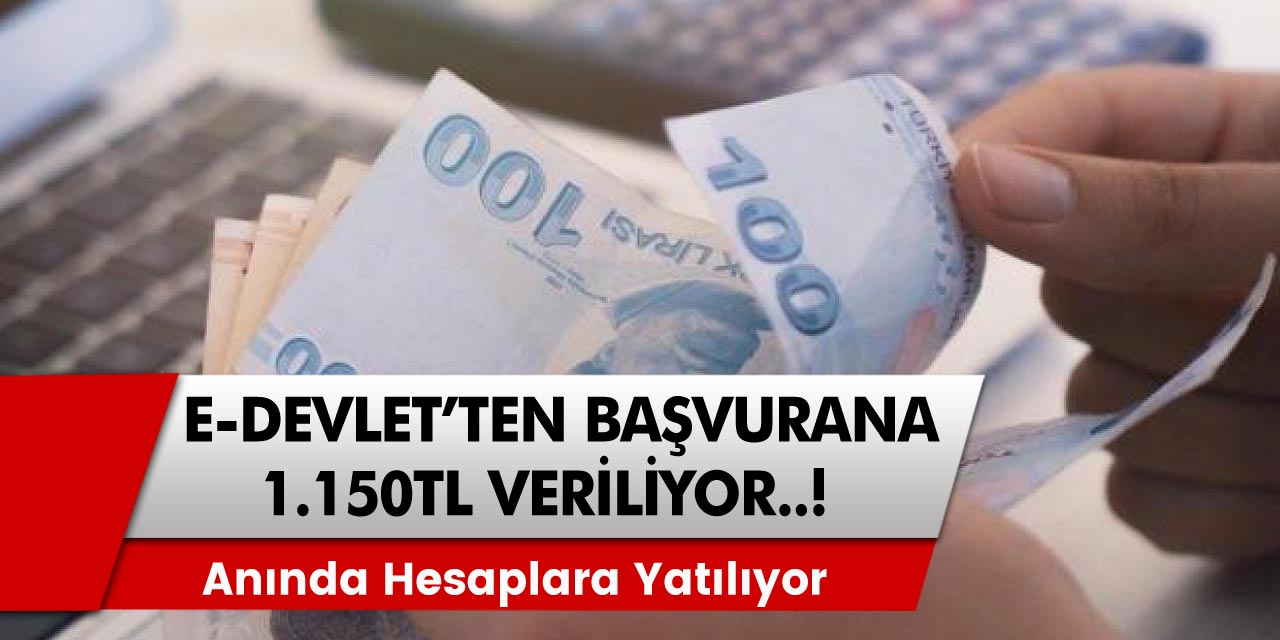 Milyonları Sevindiren haber e-Devletten başvurana veriliyor! 1.150 TL hesaplara yatırılacak!