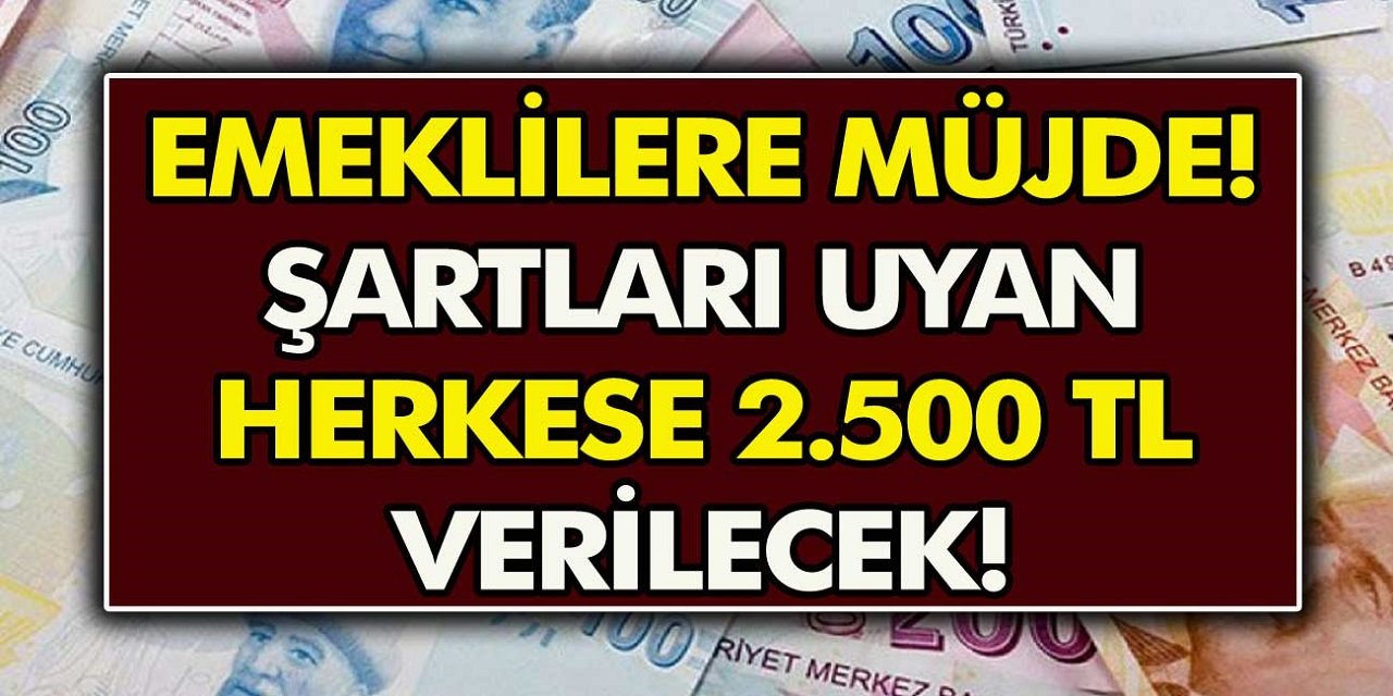 Emeklilere ek ödeme yapılacak. Başvuru için son tarih açıklandı!