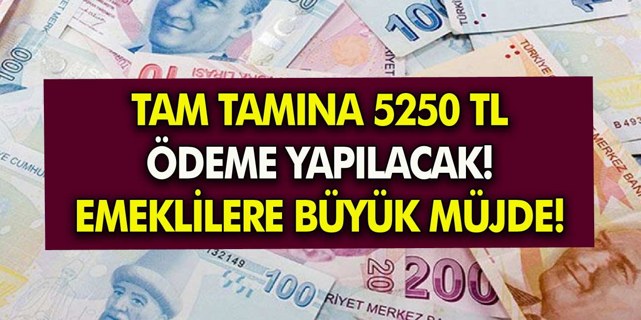 Emeklilere büyük müjde! Bankalar resmen yarışıyor! 5.250 TL’ye kadar promosyon ödemesi Yapılacakk