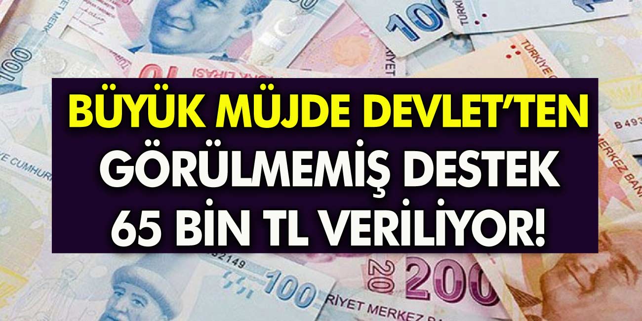 Muhteşem haber Devletten görülmemiş destek başladı! e-Devletten başvuru yaparak Anında 65.000 TL veriliyor!