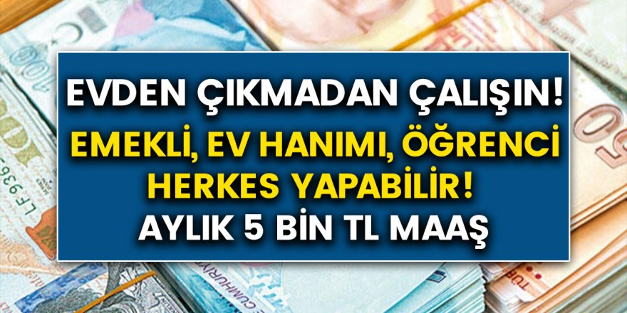 Büyük müjde Trendyol satış ortaklığı ile evde ek iş yaparak ayda 5000 lira kazanç! İşte Trendyol paketleme başvuru şartları!