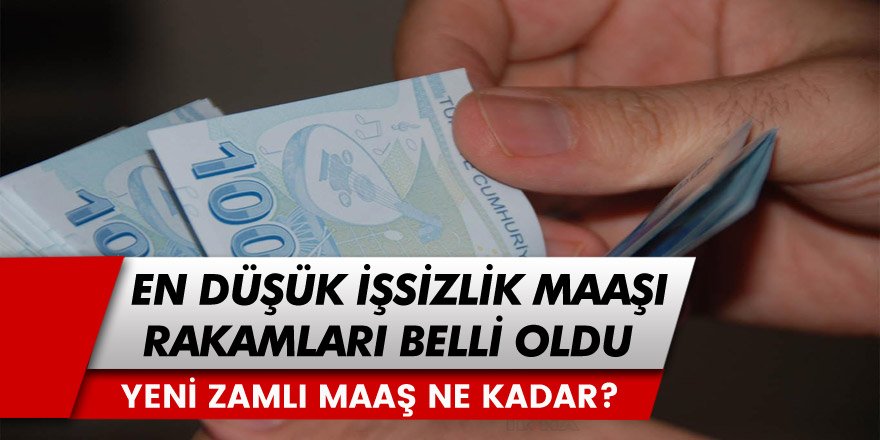 Asgari Ücrete Gelen Zamla İşsizlik Maaşları Değişti! En Düşük ve En Yüksek İşsizlik Maaşı Ne Kadar Oldu