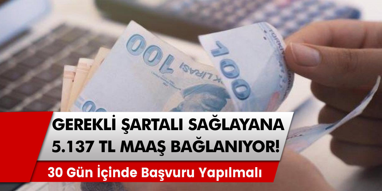 Büyük müjde Şartları sağlayan herkese 5.137 TL maaş bağlanıyor! Kritik uyarı   30 gün içinde başvuru yapılmalı!