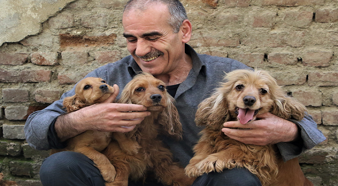 Elazığ'daki depremzedenin köpek sevgisi, onlardan ayıramıyor