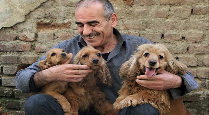 Elazığ’da Depremzedenin köpek sevgisi, onlardan ayrılamıyor