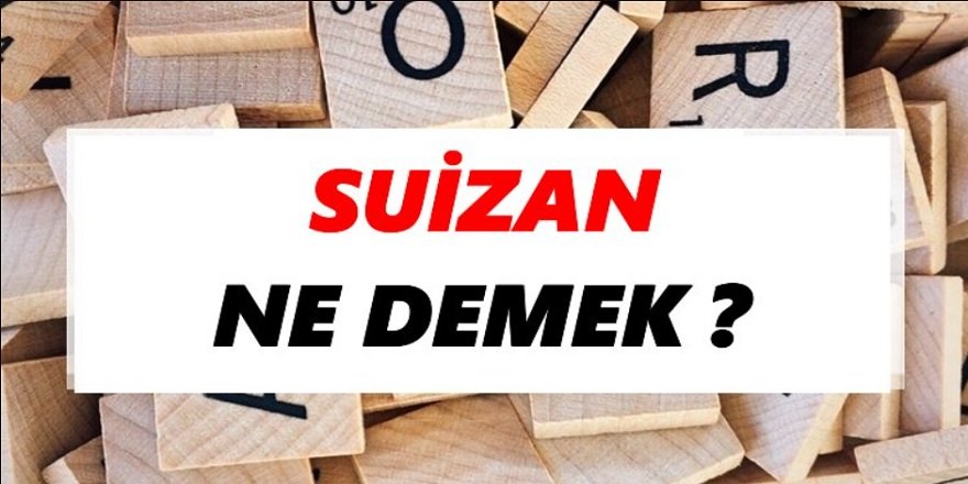 Suizan ne demek, ne anlama gelir, TDK sözlük anlamı nedir? Suizanda bulunmak ne demek?