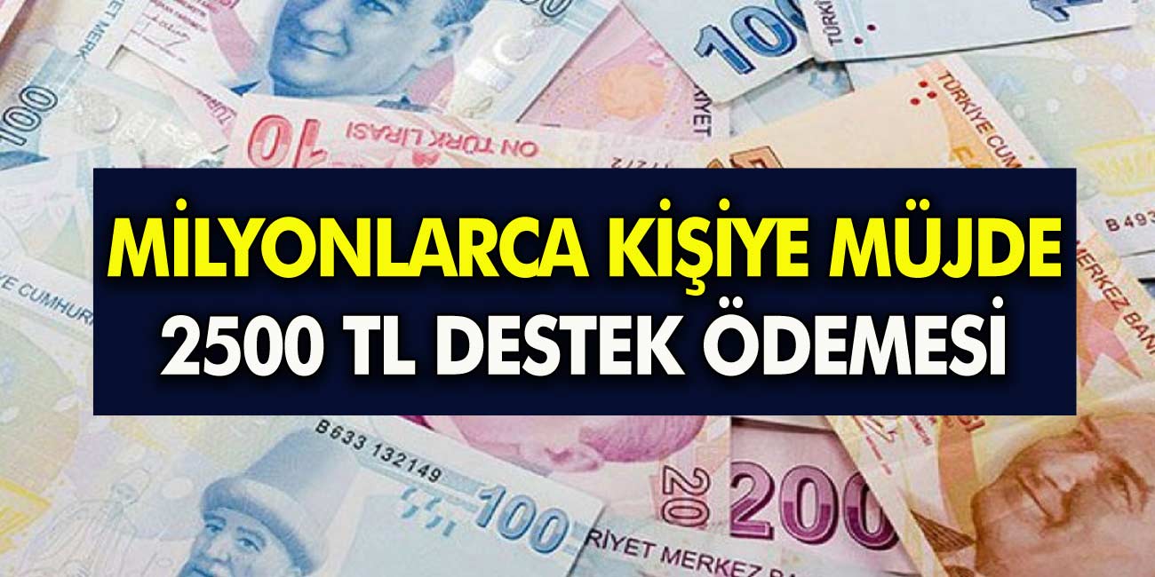 Ailelerin beklediği yardım ödemeler başladı! e-Devletten başvuran alıyor: Aylık 1.250 TL 2500 arası para verilecek!
