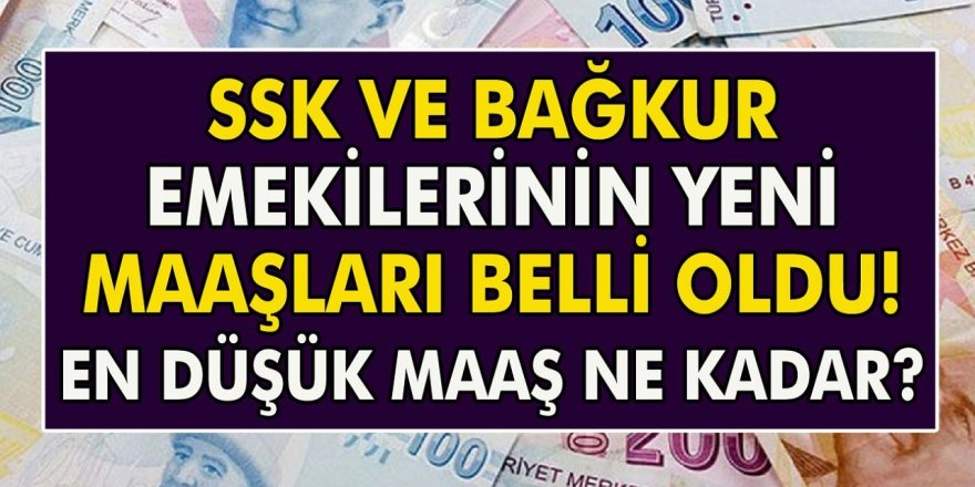 SSK ve Bağ-Kur Emeklisinin Yeni Maaşları Sızdırıldı! Emekli, Polis, Öğretmen ve Hemşire Maaşları Ne Kadar? En Düşük Maaşı Tablosu!