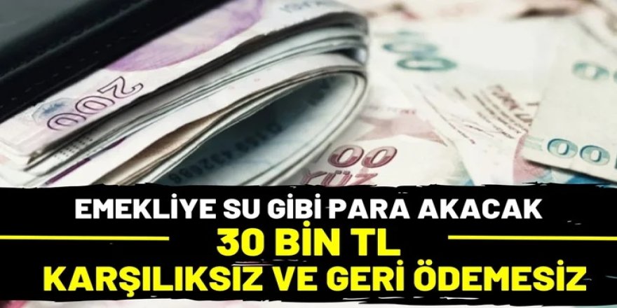 Bu ay bunu yapan emekliye yağmur gibi para akacak! 4A, 4B, 4C SSK BAĞ-KUR emeklisine 30 bin TL karşılıksız nakit ödeme!