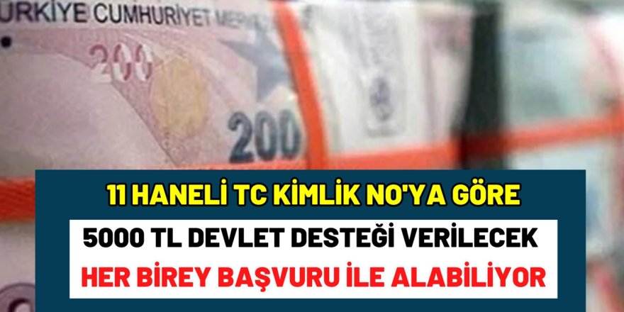 Yeni Devlet Desteği: Her Bireye Özel 5000 TL Yardım 11 Haneli TC Kimlik NO'ya Göre Veriliyor! Hemen başvuru yapın!
