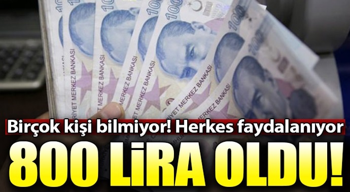 800 lira oldu! Devlet yardımları neler, nasıl alınır?