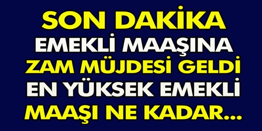 SSK ve Bağ-Kur emeklileri Temmuz 2024 zammı son dakika haberi! Emekli zam oranı belli oldu! İşte Detaylar...