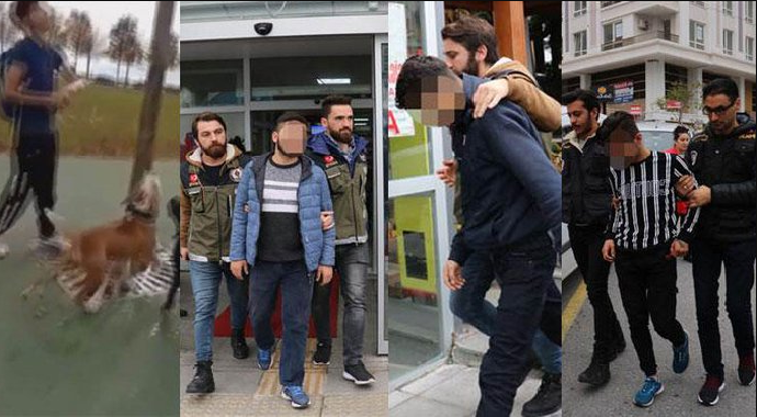 Kediyi Köpeklerine Parçalattıran 3 Cani Yakalandı!