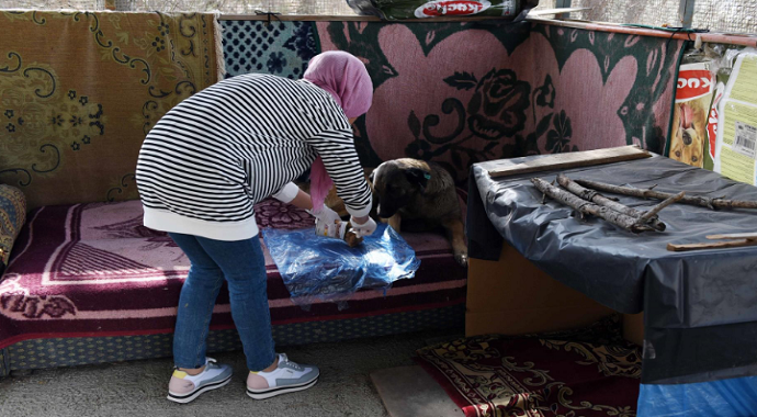 Hitit Üniversitesi öğrencileri koruma altına aldığı köpekleri unutmadı