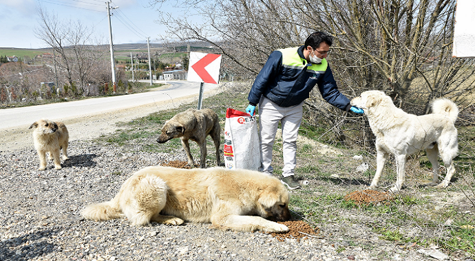 Tepebaşı Belediyesi sokaktaki canlar unutmuyor