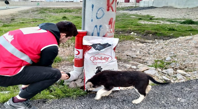 Afyonkarahisar'da Kızılayın genç gönülleri aç kalan sokak hayvanlarına sahip çıktı
