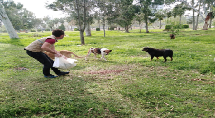Adana'da sokaktaki canlar unutulmadı