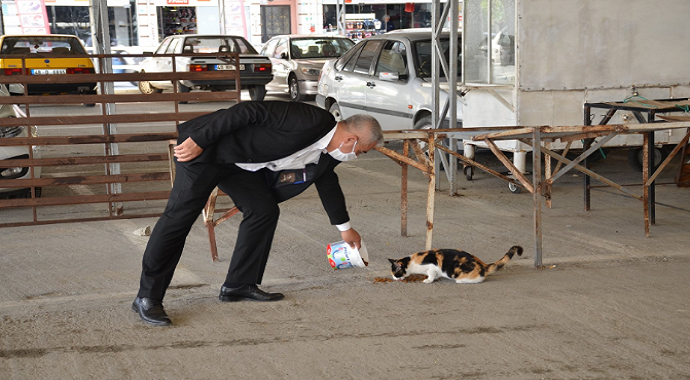 Dalaman Belediye Başkanı Karakuş sokak hayvanlarını elleriyle besledi