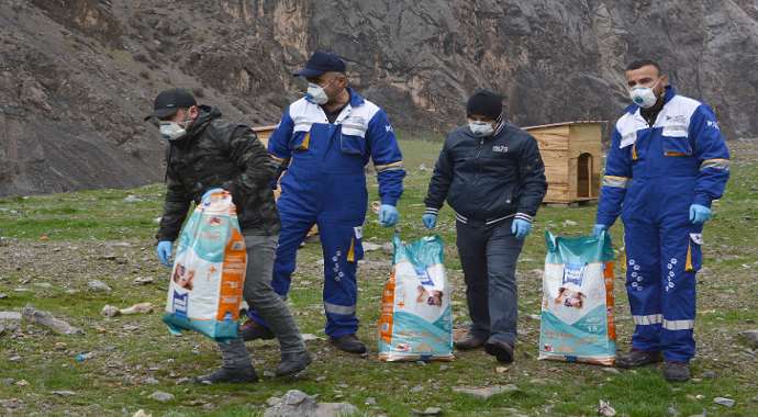 Hakkari Belediyesi Veteriner İşleri Müdürlüğü ekipleri sokak hayvanları emin ellerde