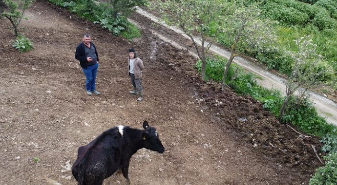 Kaybolan hayvanını gazeteciler yardımıyla drone ile buldu