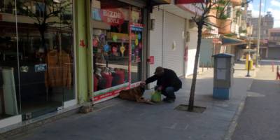 Gaziantep'te Sokağa çıkma yasağında sokak hayvanları unutulmadı