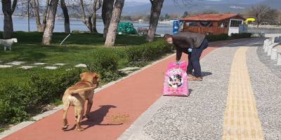 İznik Belediye Başkanı sokak hayvanları için çağrıda bulunan vatandaşa mama götürdü
