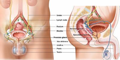 Prostat kanserinin belirtileri ve tedavi yöntemleri nelerdir?