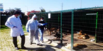 Bursa’da Hayvan barınaklarına Bakanlıktan denetim